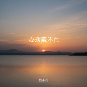 心动藏不住