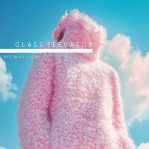 Glass Elevator