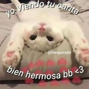 voyuj
