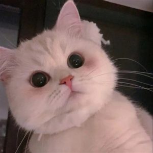 生命中的裂缝 (Inst.)