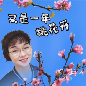 又是一年桃花开-女版 伴奏