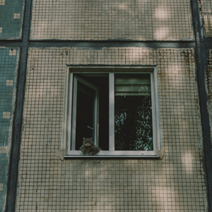 Golden Days (Slowed and Reverb)