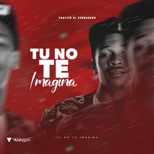 Tu No Te Imaginas