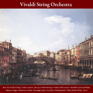 Cello Concerto in C Minor RV 401: III. Allegro ma non Troppo