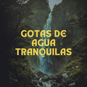 Arroyo congelado puro