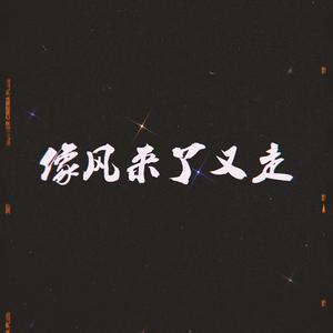 像风来了又走