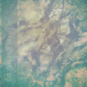 And I am struck by the light