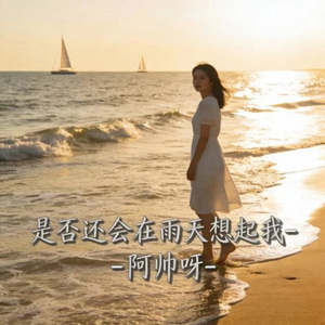 是否还会在雨天想起我 (烟嗓版)
