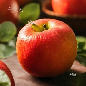 纠缠 (Cover 裘海正)