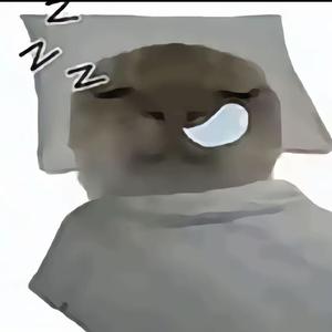 哈基米起床小曲（广播体操风格）