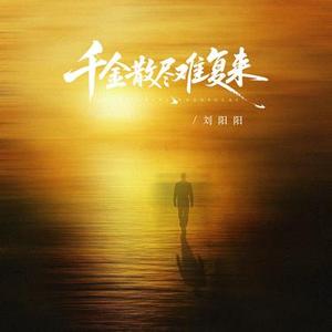 千金散尽难复来 (DJ阿尼版)