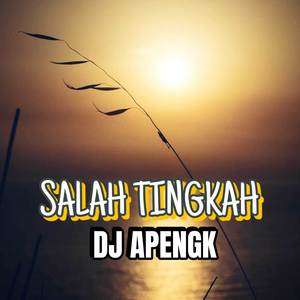 SALAH TINGKAH