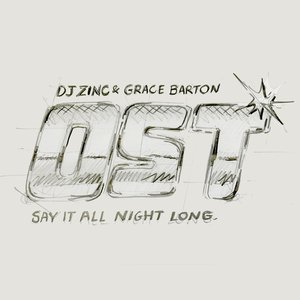 Say It All Night Long