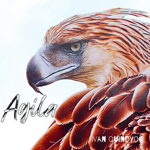 Agila
