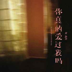 你真的爱过我吗