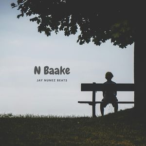 N Baake