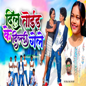 Dil Toid ke Delhi Gele