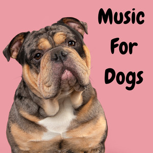 Classical Music For Dogs
