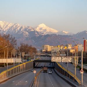 没有理由（x1.2）