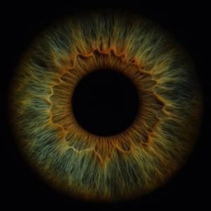 Barry (feat. Jet Le man & ADLT)