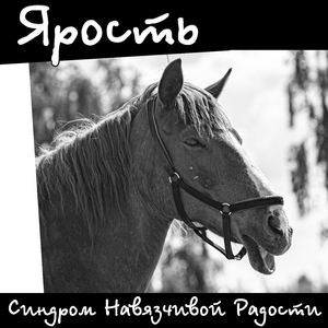 Ярость