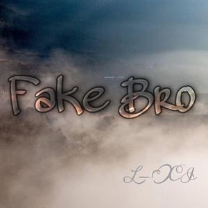 fake