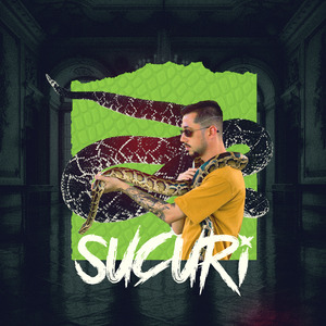 Sucuri