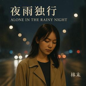 夜雨独行