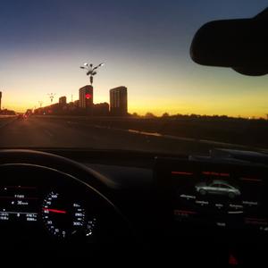 喝白茶清清白白