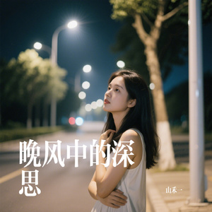 晚风中的深思
