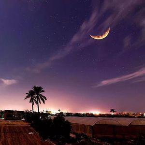 谢小姐的口红（Prod.金桔ORANG3）