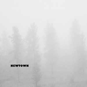 Newtown