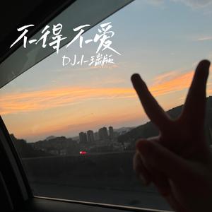 不得不爱（DJ小瑞版）