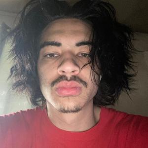 Wholeworldslatt