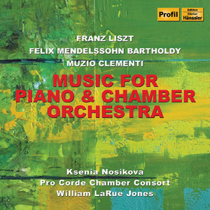 Piano Concerto in A Minor, MWV O2:I. Allegro