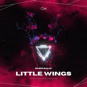 Little Wings