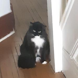 WE HAD TO MAKE PILLS WHILE WE CLIMBED UP HILLSSSSS