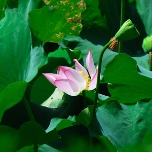 -The Truth That You Leave