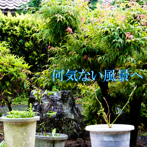 何気ない風景へ