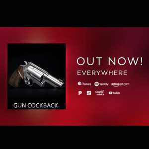 Gun Cockback
