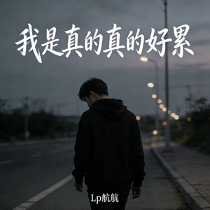 我是真的真的好累2026