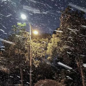 坚信爱会赢（Cover群星）