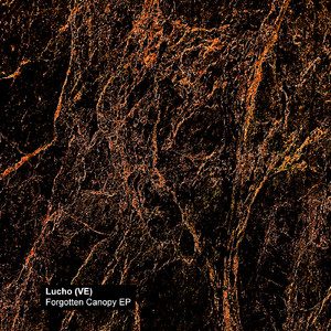 Forgotten Canopy (Original Mix)