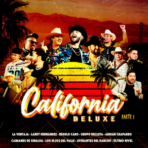 La Tochita (En Vivo)