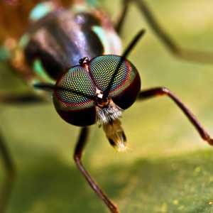 火箭少女101-火箭少女之开开(Remix)