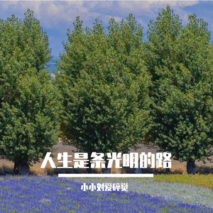拆不完的缘