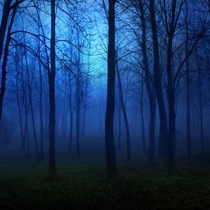 我幻想过我们牵了手不再分