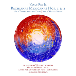 Bachiana Mexicana No. 2: 5 Finale: Quimera