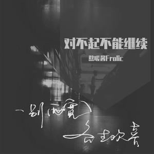 对不起不能继续