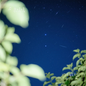 闪烁着星光